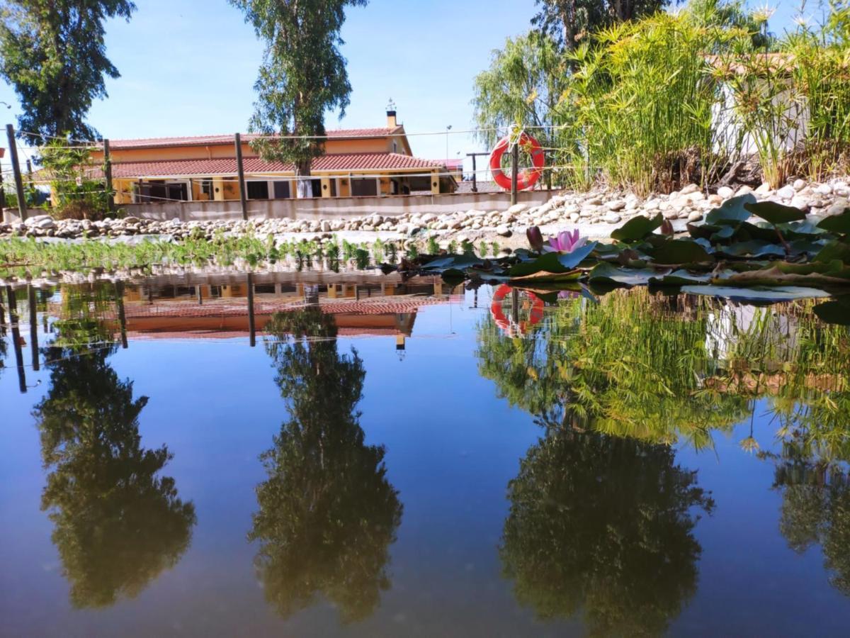 La Posada Hipica Rosalejo  Bagian luar foto