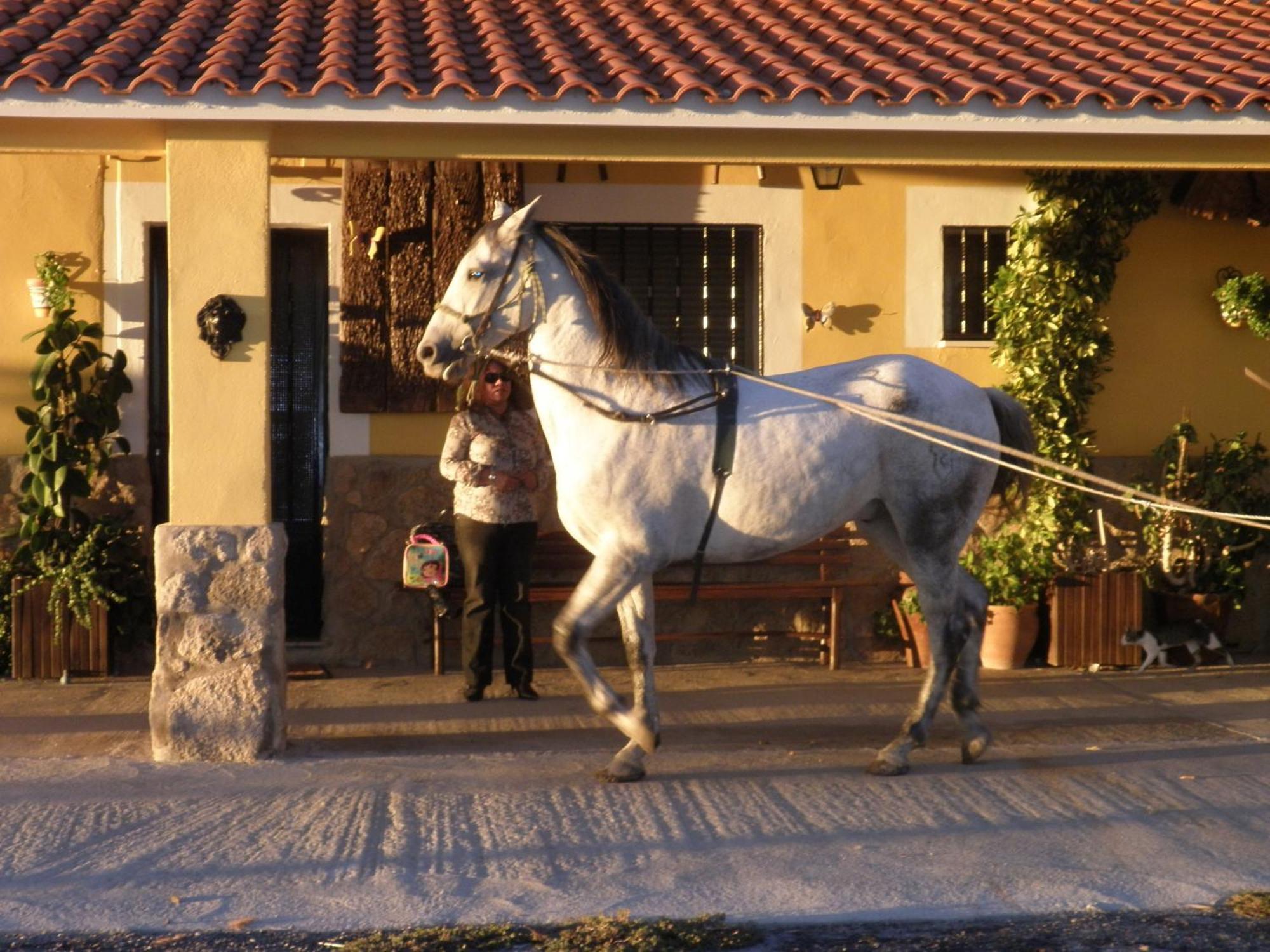 La Posada Hipica Rosalejo  Bagian luar foto