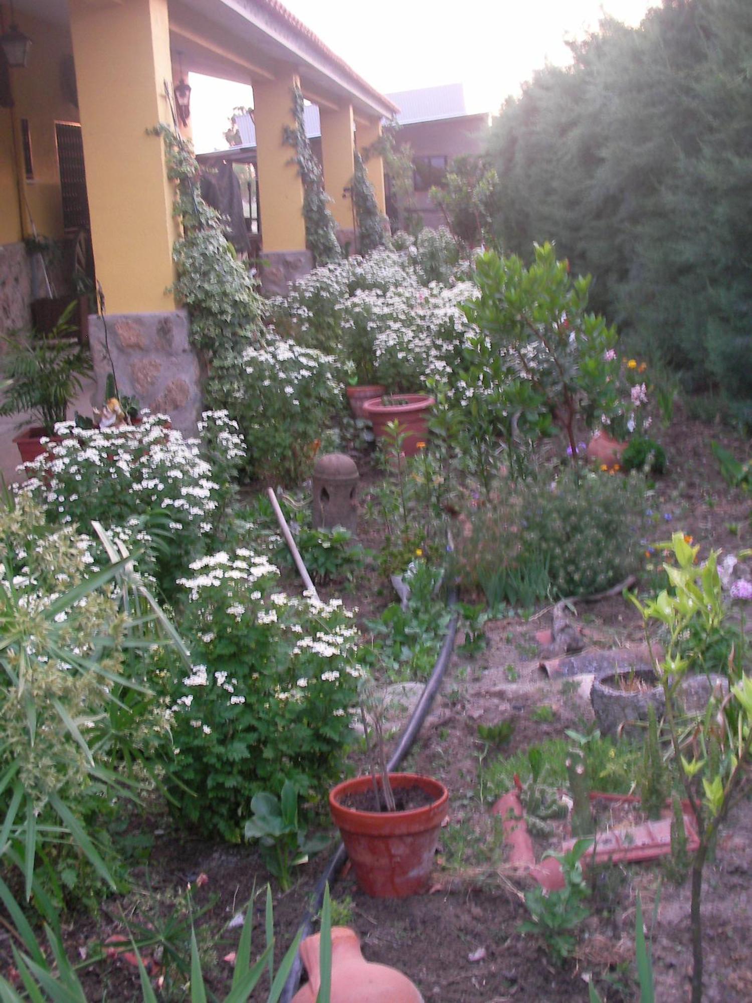 La Posada Hipica Rosalejo  Bagian luar foto