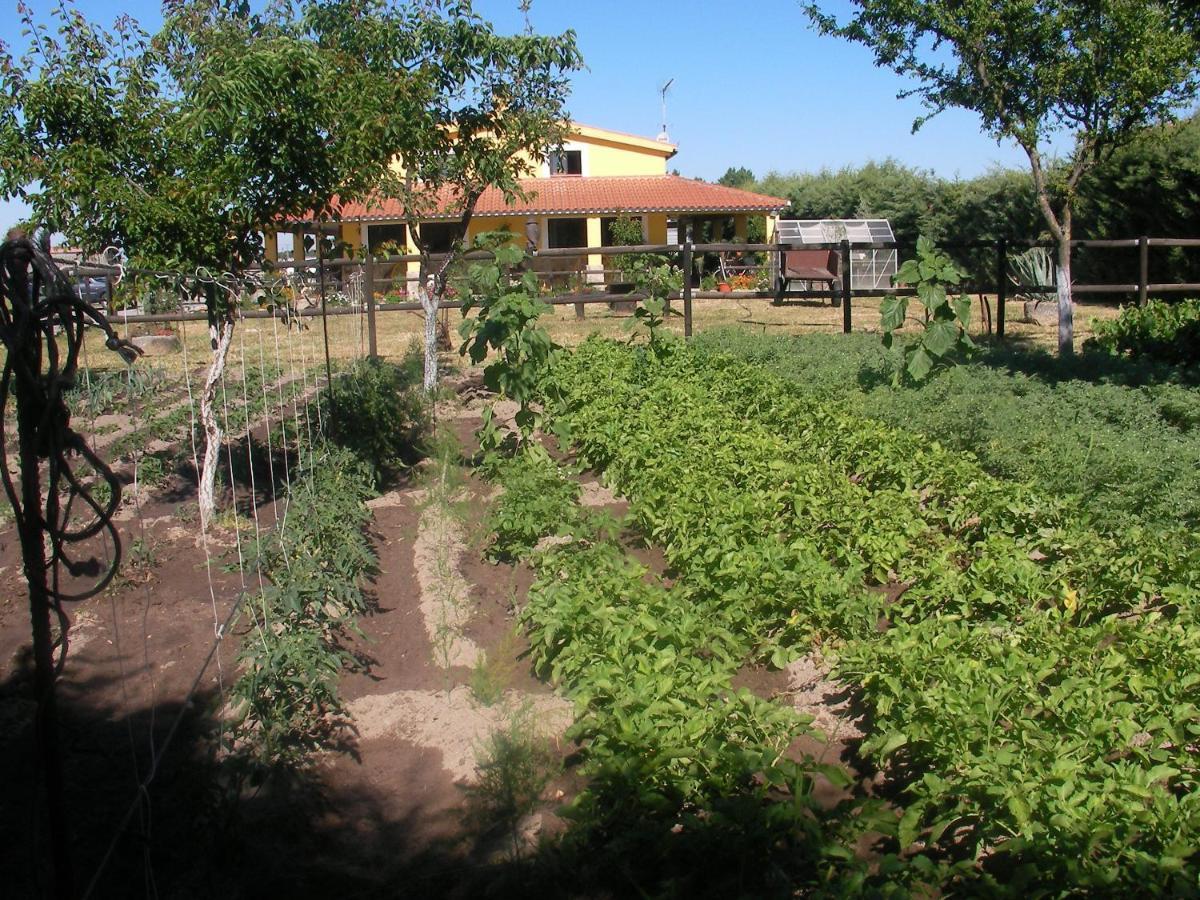 La Posada Hipica Rosalejo  Bagian luar foto
