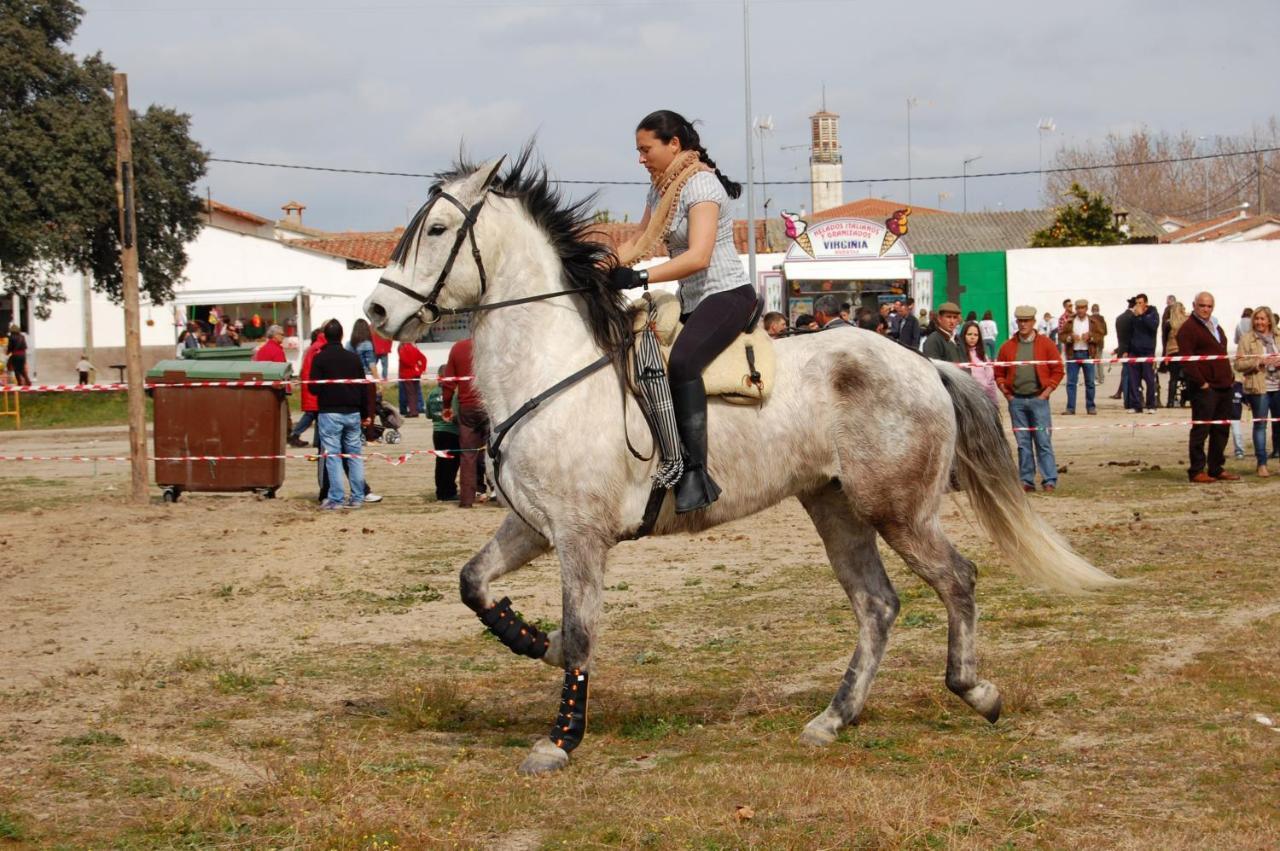 La Posada Hipica Rosalejo  Bagian luar foto